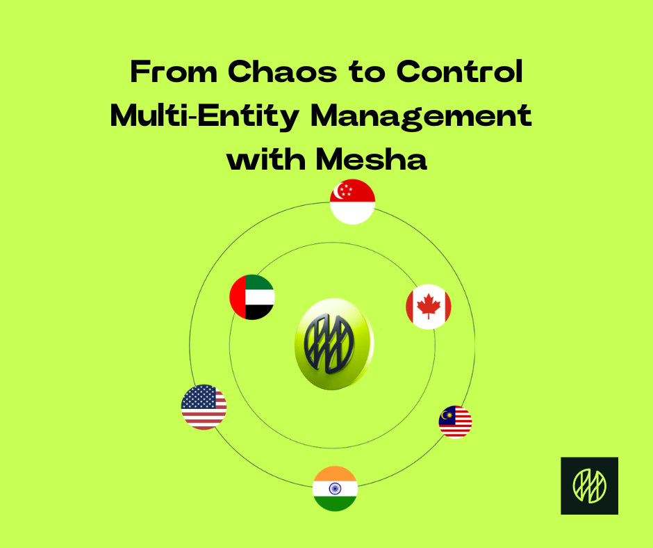 Multi-Entity Accounting Management with Mesha