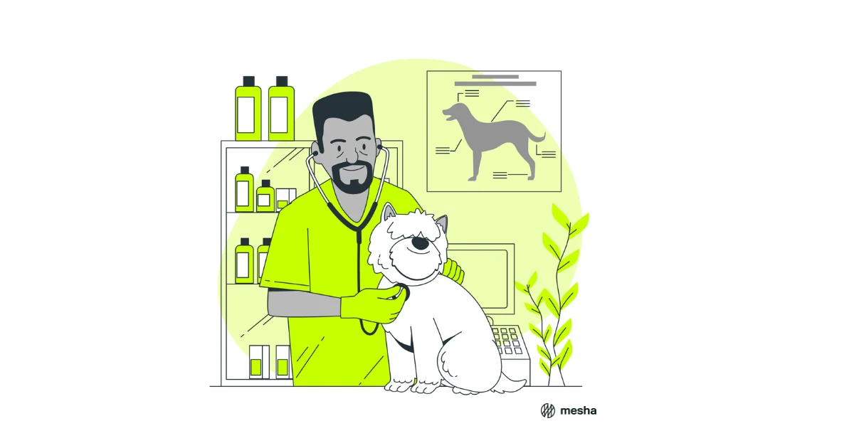 Accounting basics for veterinarians