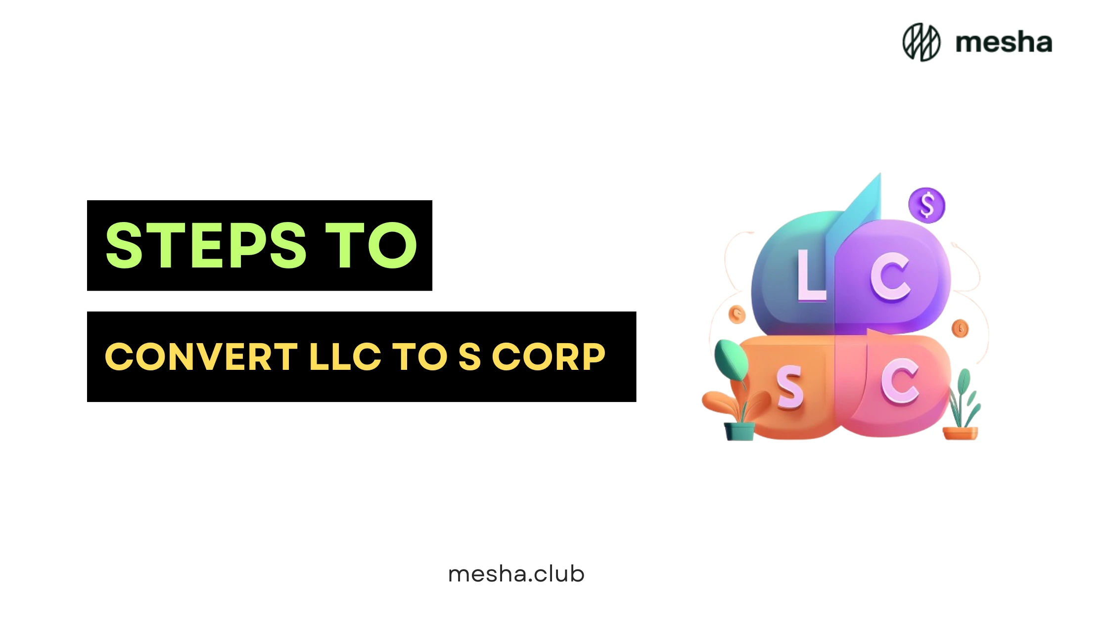 Steps to Convert LLC to S Corp