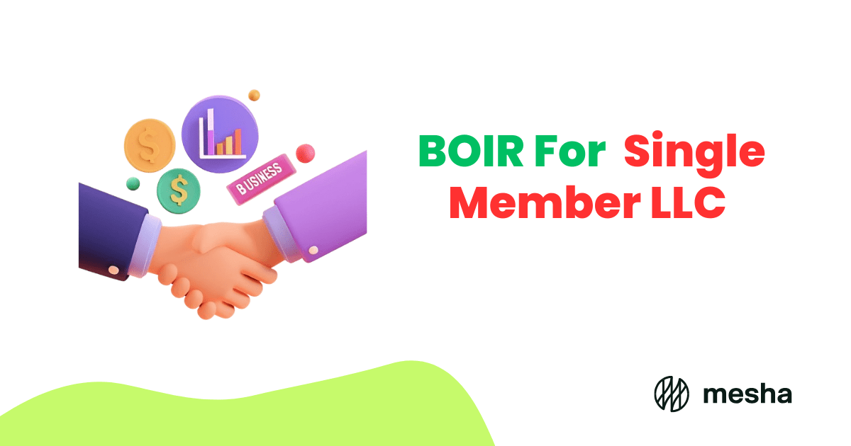 boir for single member llc